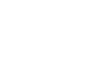 Fuchs